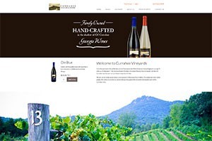 Vin65 Portfolio - Currahee Vineyards