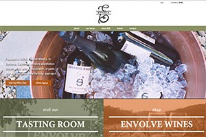 Vin65 Portfolio - Envolve Winery