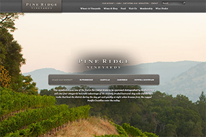 Vin65 Portfolio - Pine Ridge Vineyards
