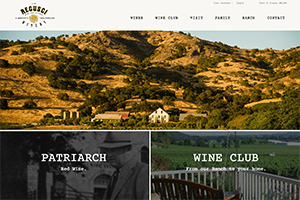 Vin65 Portfolio - Regusci Winery